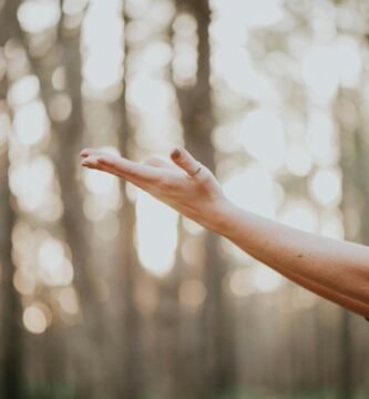 tilt shift lens photography of person lifting hand